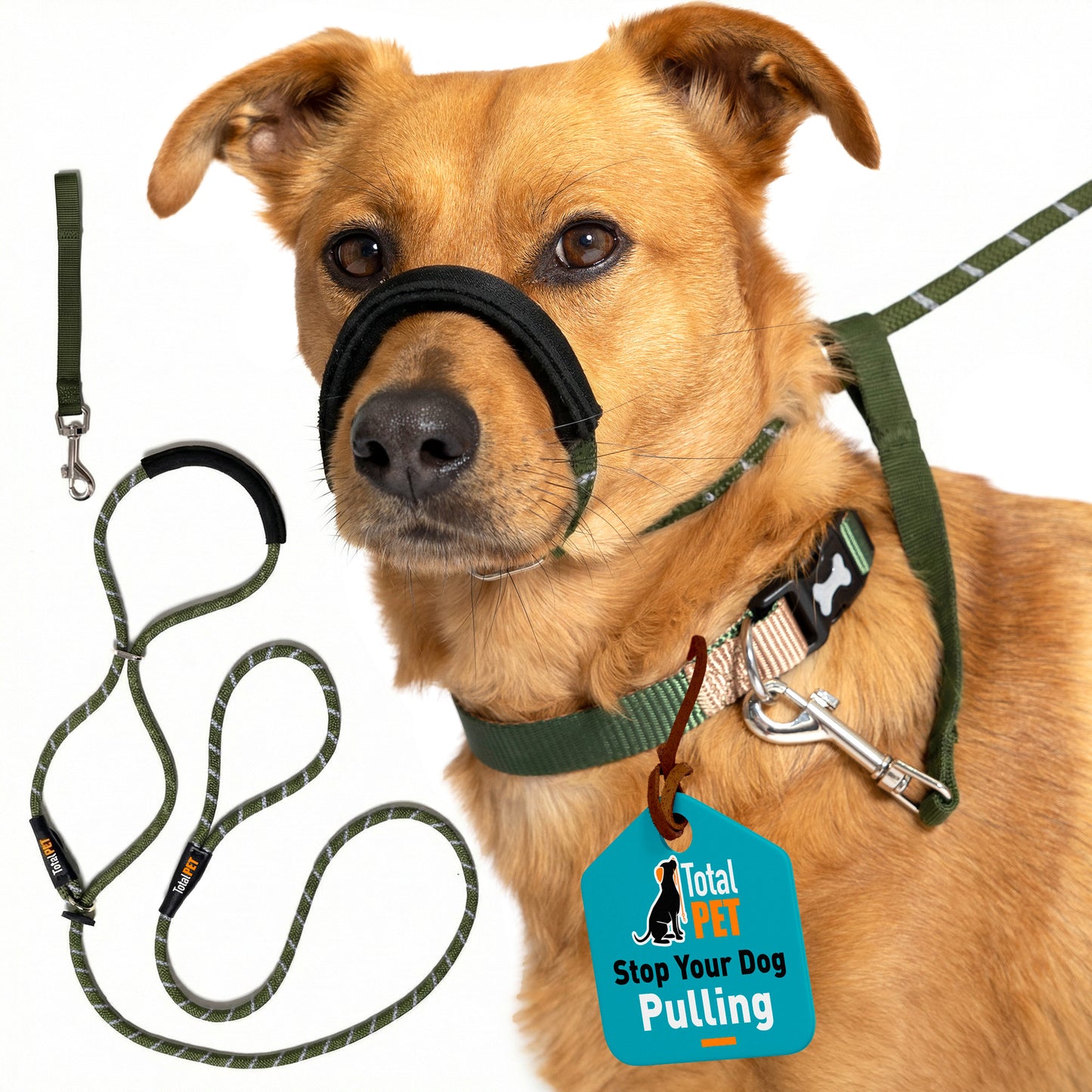 Rope Figure of 8 Dog Lead with Padding – Stop Your Dog Pulling - Total Pet