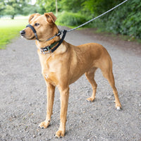 Rope Figure of 8 Dog Lead - S/M (Lifestyle 2)