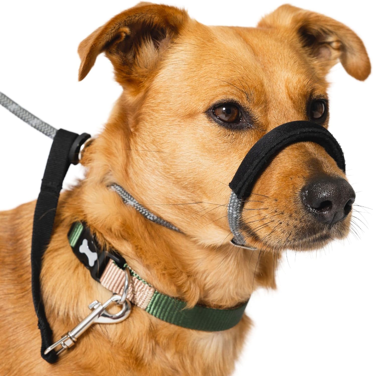 Figure 8 leash dog top
