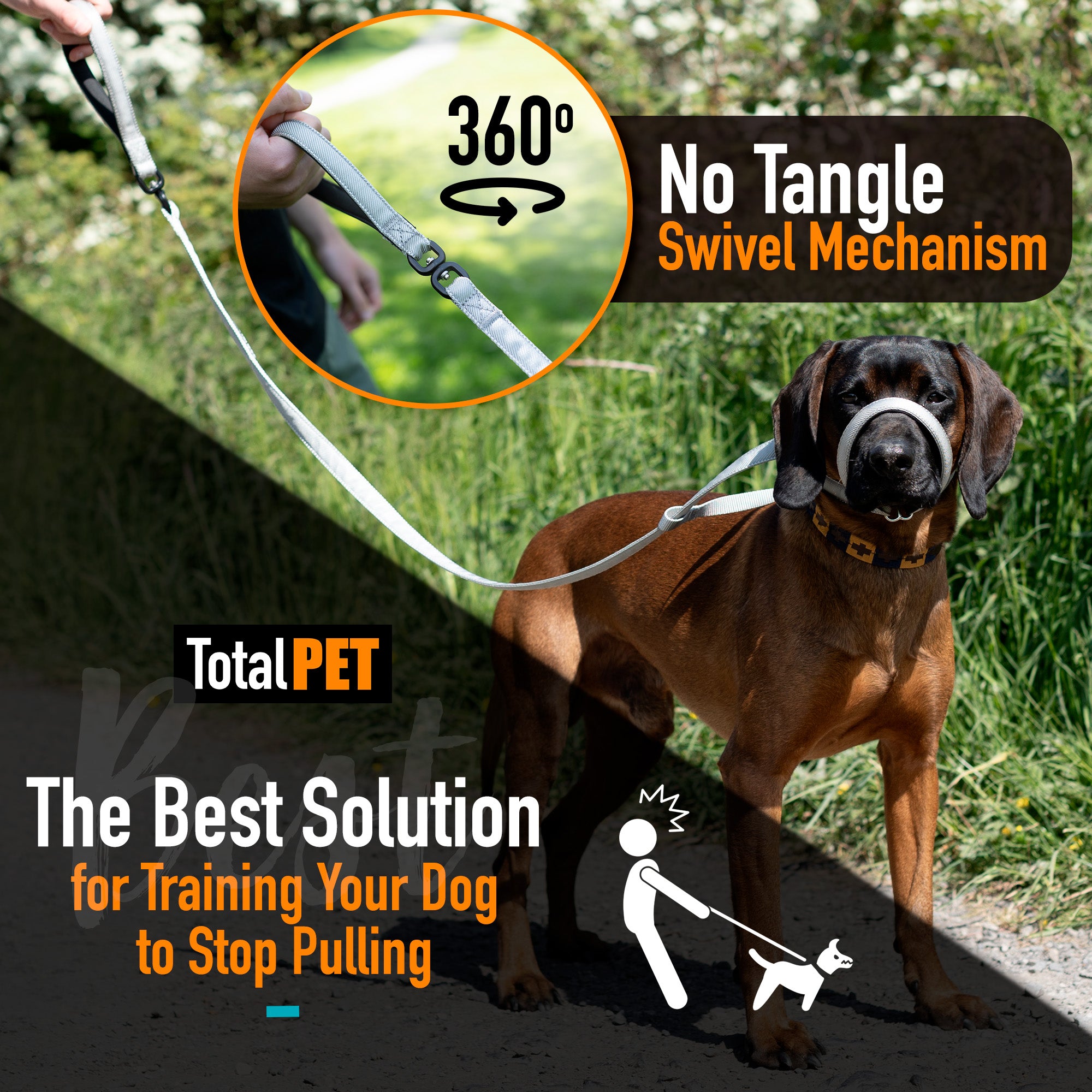 Puppy Lead Training Tips: Expert Tricks for Perfect Walks