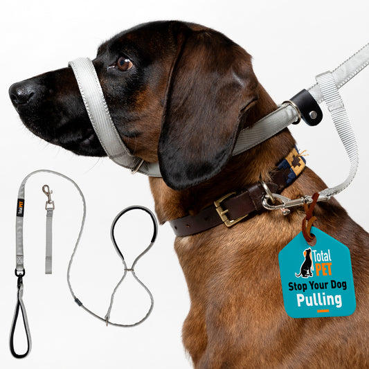 Swivel Flat Figure of 8 Dog Lead - (Main Image)