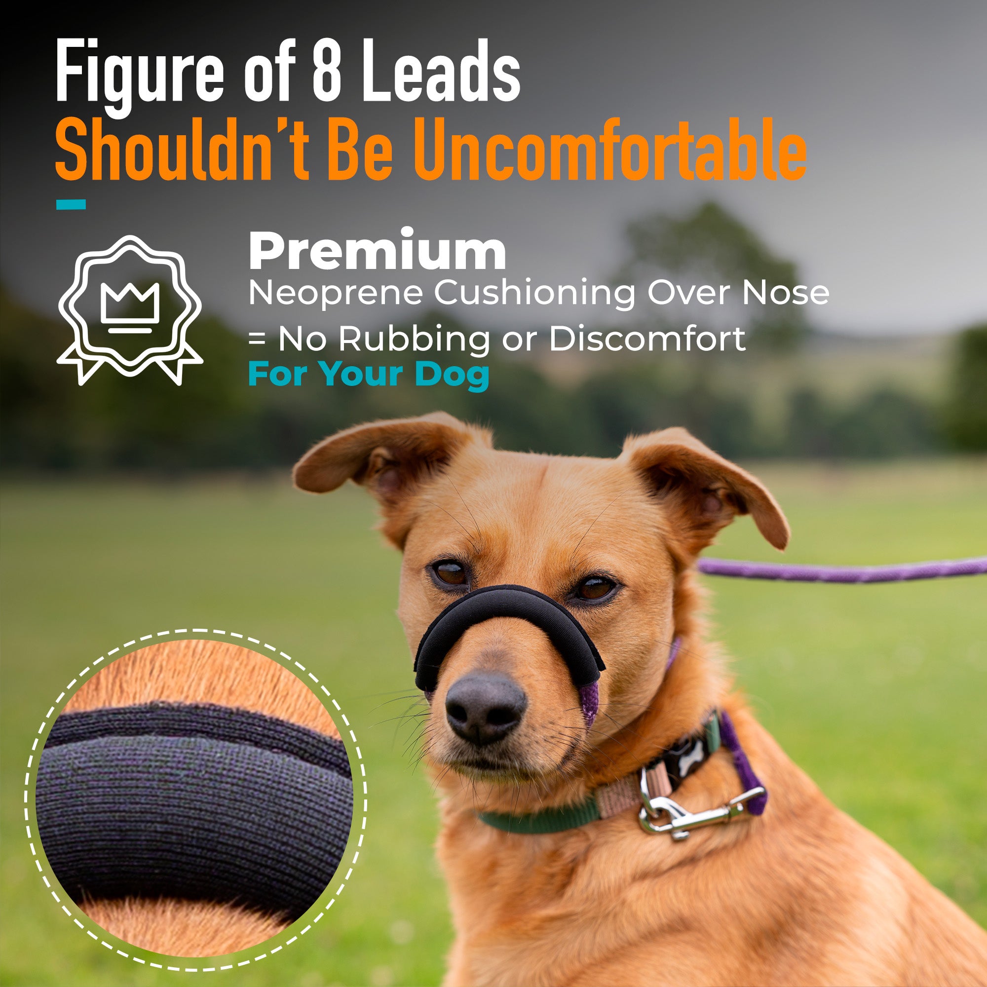 S/M / Purple variant color