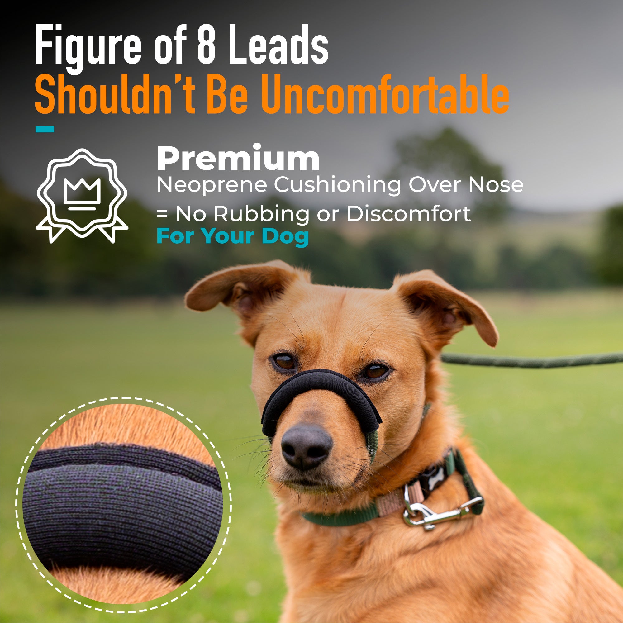 S/M / Green variant color