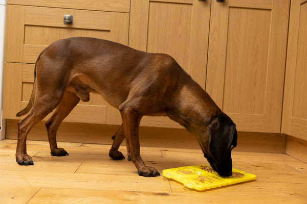 Plastic Lick Licky Mat with 4 Unique Patterns & Suction - Total Pet