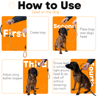 Rope Slip Lead for Dogs & Puppy Training - Image 2