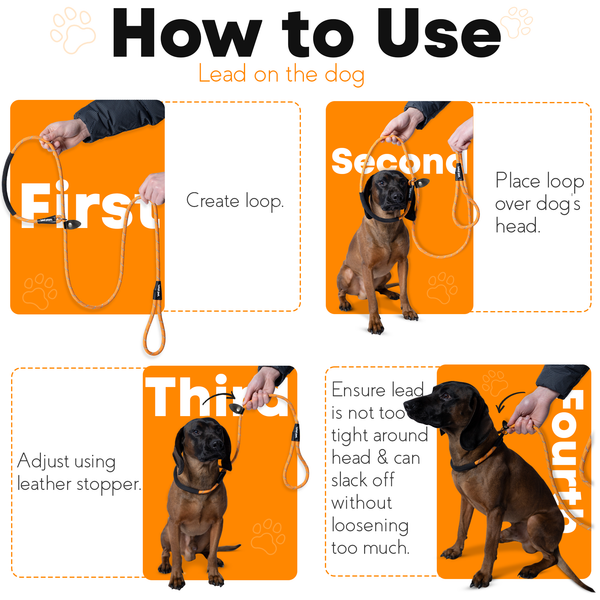 Rope Slip Lead for Dogs & Puppy Training - 1.8 Metres, Reflective W/Neck Padding - Total Pet