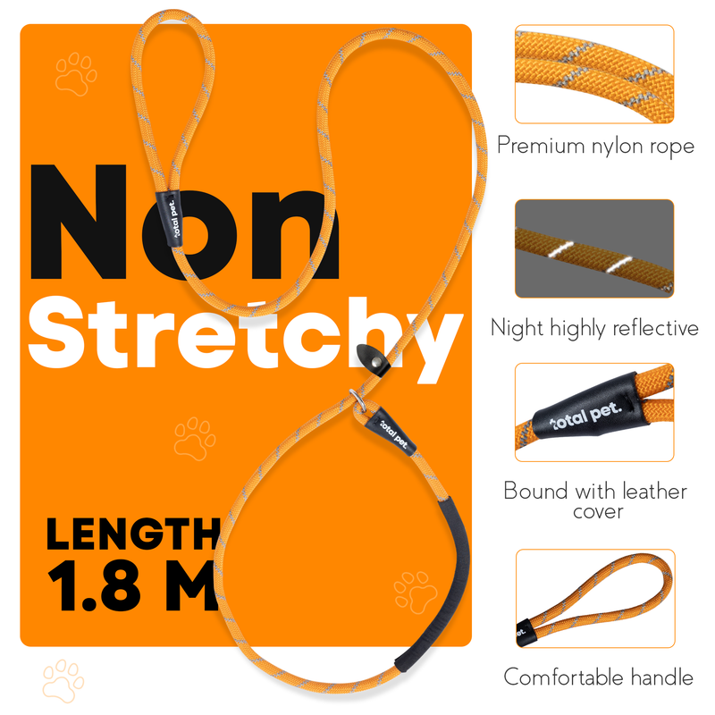 Rope Slip Lead for Dogs & Puppy Training - Image 4