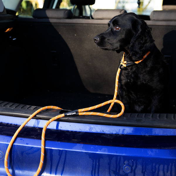 Rope Slip Lead for Dogs & Puppy Training - 1.8 Metres, Reflective W/Neck Padding - Total Pet