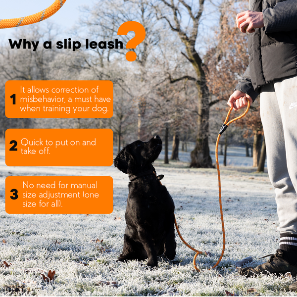 Rope Slip Lead for Dogs & Puppy Training - 1.8 Metres, Reflective W/Neck Padding - Total Pet